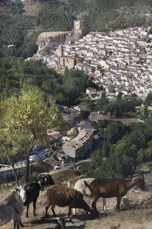 Hostal Alcala Del Jucar Eksteriør bilde